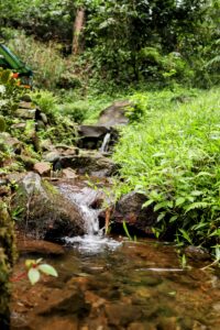 Aliran air jernih mengalir di antara bebatuan kecil dan tumbuhan hijau di kawasan Curug Muntu, menciptakan suasana alami dan tenang
