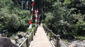 Jembatan beton dengan pagar besi dan hiasan bendera merah putih menuju tengah hutan Damar menuju jalur wisata alam Tirta Sena - Curug Muntu