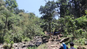 Pengunjung berjalan di jalan setapak berbatu di tengah hutan menuju area wisata Tirta Sena - Curug Muntu dengan aliran sungai di sampingnya.