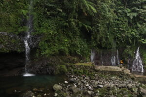 Dua air terjun di Curug Muntu dan Tirta Sena mengalir berdampingan di tebing hijau yang rimbun, dengan kolam alami dan batuan besar di sekitarnya